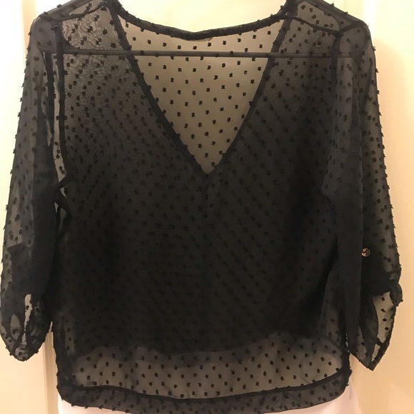 Sheer Top - Picture 3 of 3